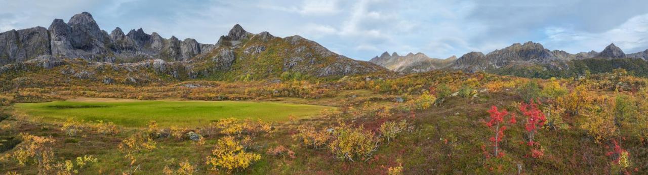 Wildlife Panorama Lofoten Bostad المظهر الخارجي الصورة