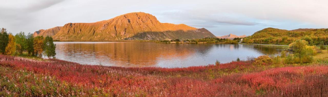 Wildlife Panorama Lofoten Bostad المظهر الخارجي الصورة