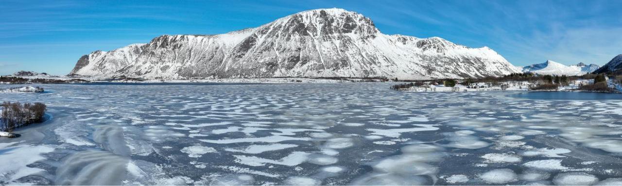 Wildlife Panorama Lofoten Bostad المظهر الخارجي الصورة