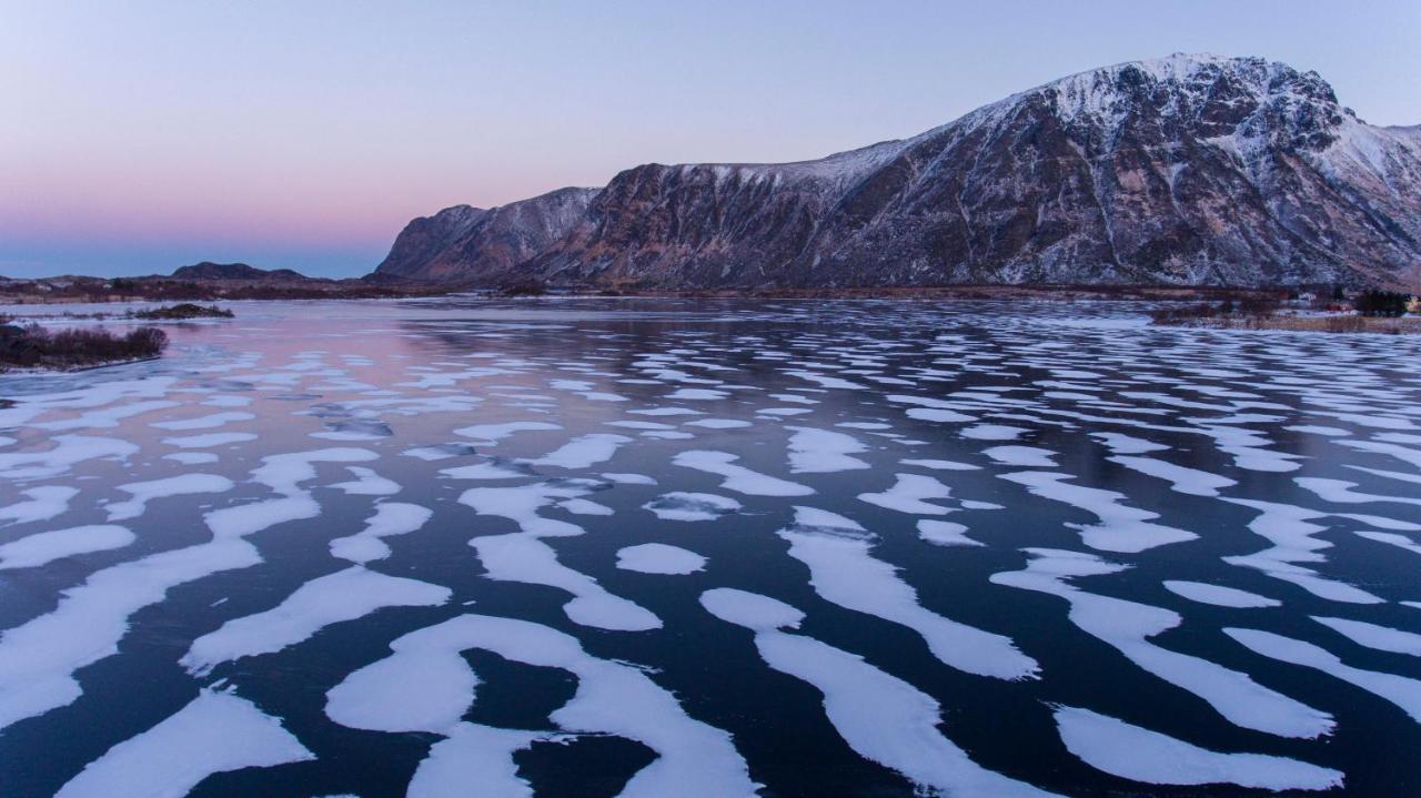 Wildlife Panorama Lofoten Bostad المظهر الخارجي الصورة